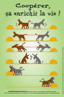 Coopérer, ça enrichit la vie! vignette