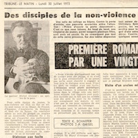vignette